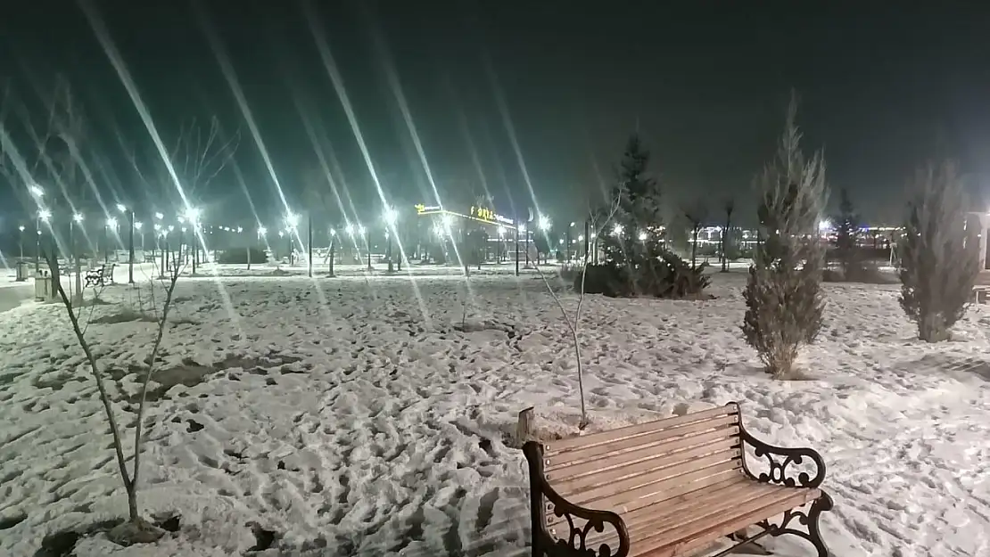 Ağrı'da parklar ıssız, soğuk gece hayatını durdurdu