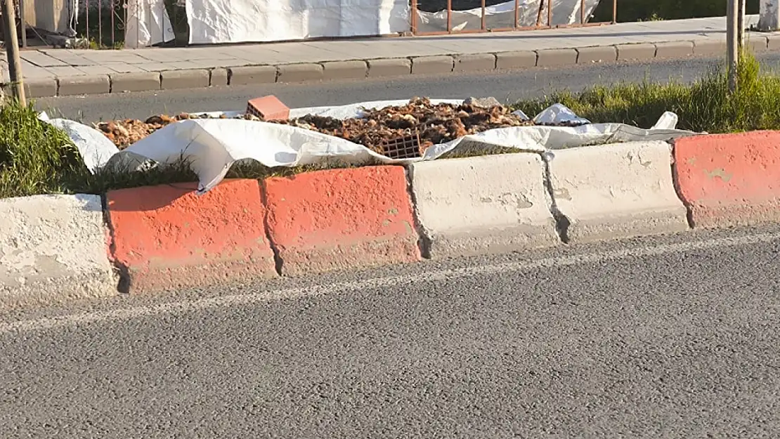 Ağrı'da refüje ne serildiğini görenler hayrete düştü