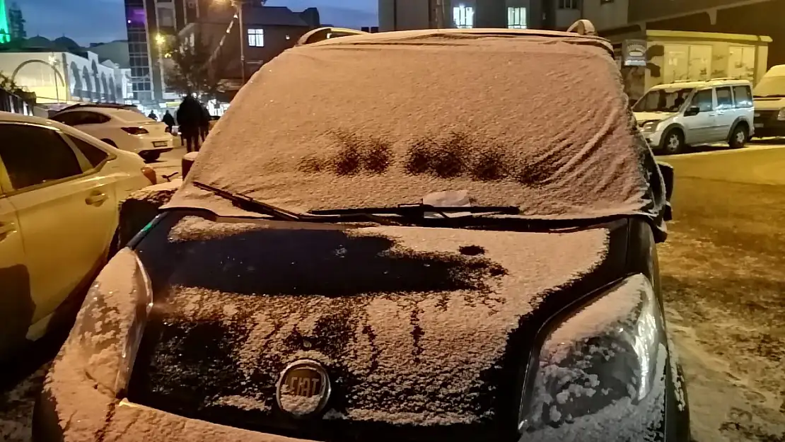 Ağrı'da soğuk hava araçları karla örttü