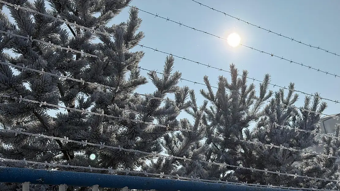 Ağrı'da soğuk ve kırağılı bir pazar günü