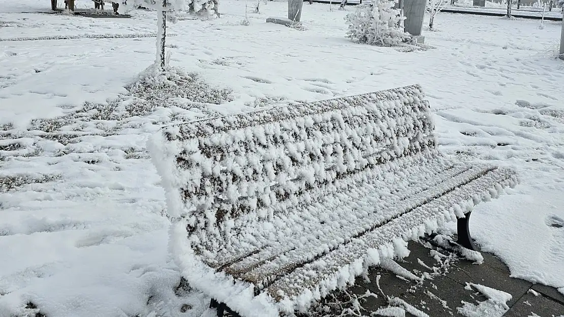 Ağrı'da soğuk zirve yaptı şehir dondu