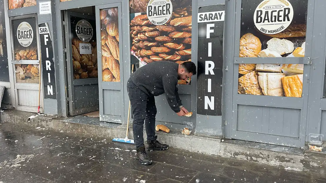 Ağrı'da soğukla mücadele eden can dostlarına anlamlı destek