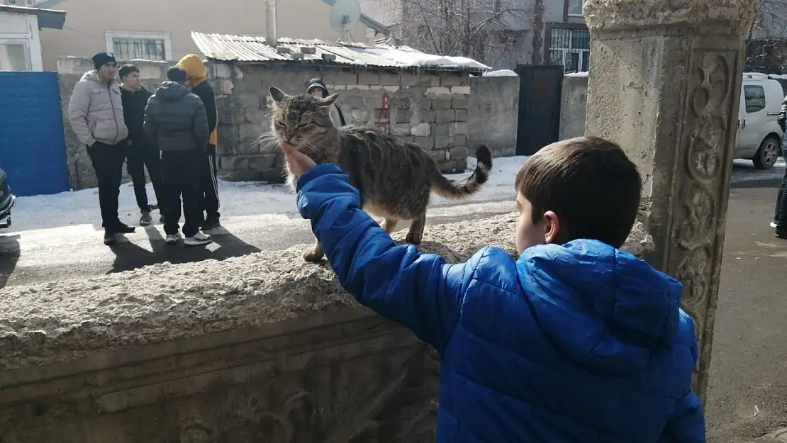 Ağrı'da soğukta üşüyen kediye sıcak sevgi