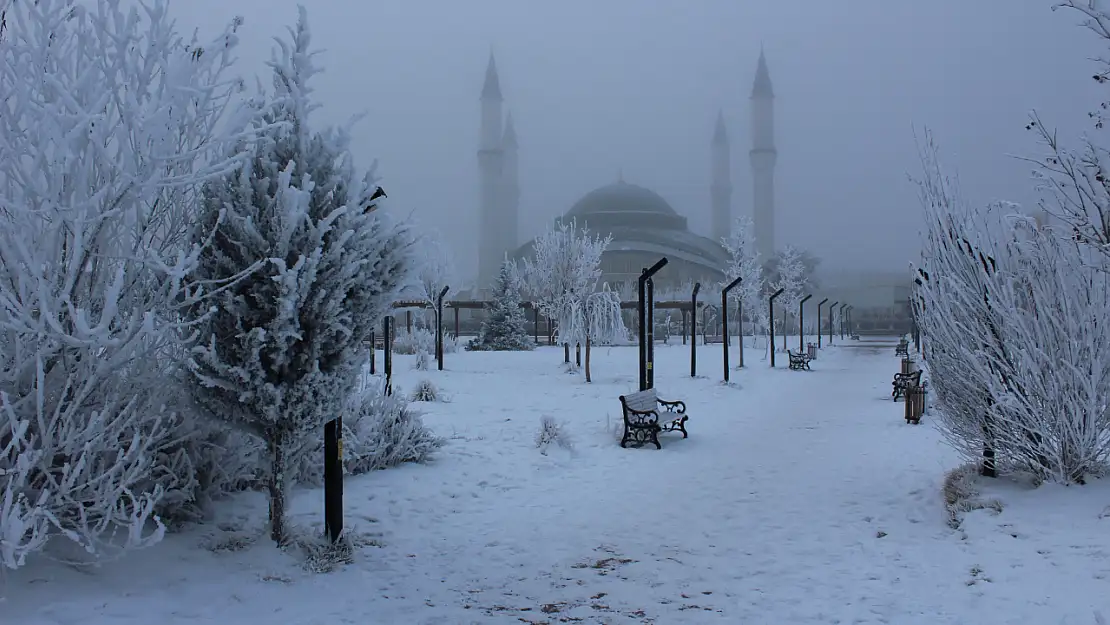 Ağrı'da yarın okullar tatil mi? 21 Şubat 2025 okullar açık mı ?