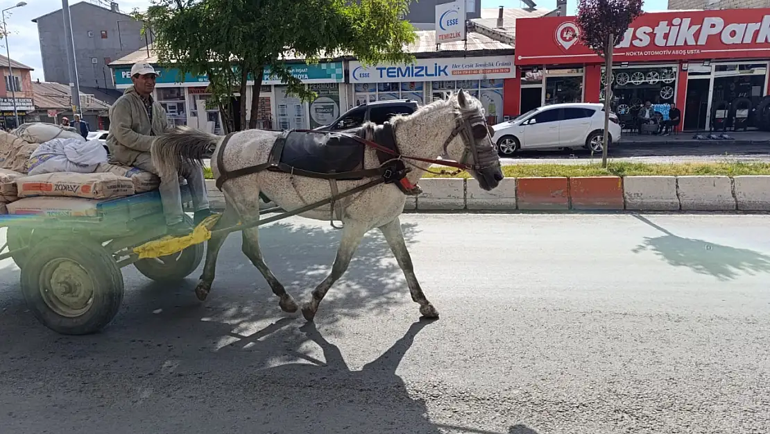 Ağrı'da yaz ayının gelişiyle at arabacıları yoğun mesaiye başladı