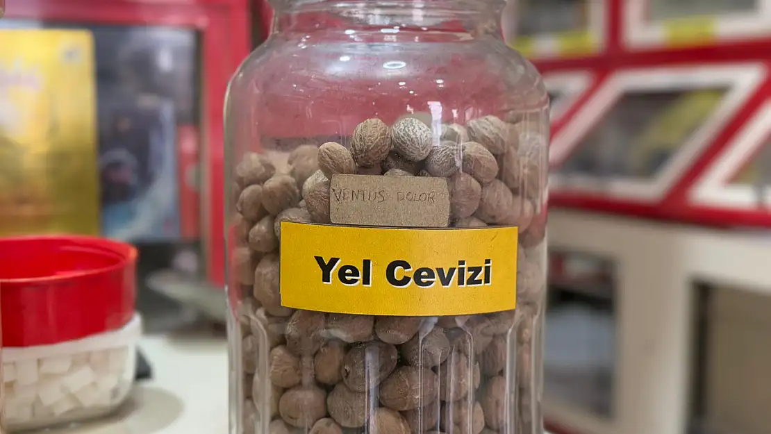 Ağrı'da 'Yel Cevizi' vatandaşın gözdesi oldu