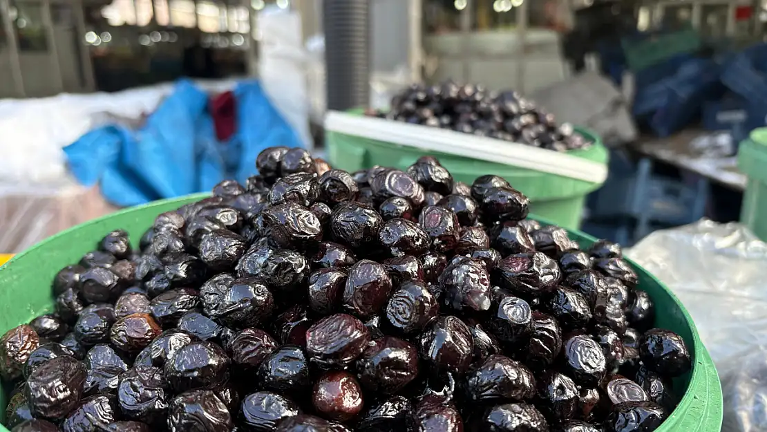 Ağrı'da zeytin tezgâhları ramazan için hazır