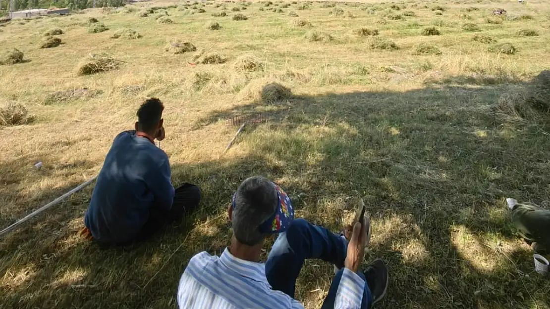 Ağrı Dağı eteklerinde alın teri mesaisi