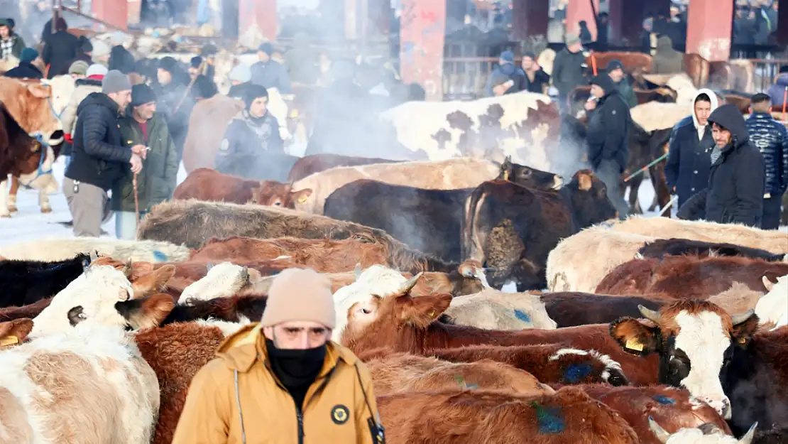 Ağrı Hayvan Borsası soğuklara rağmen hareketli