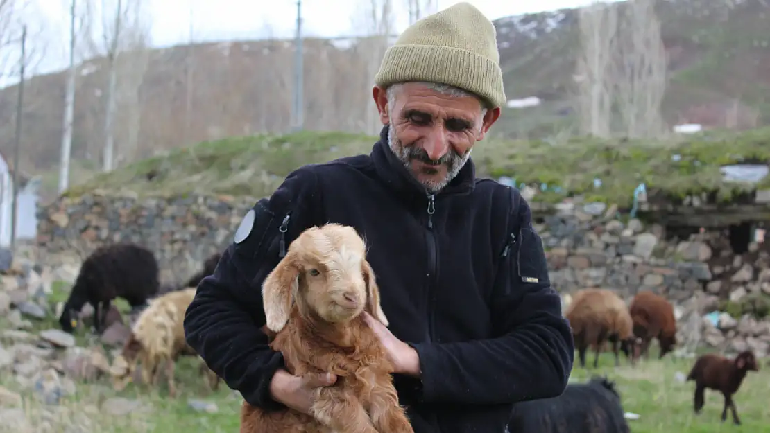 Ağrı'nın köy sayısı birçok büyük ili geride bıraktı!