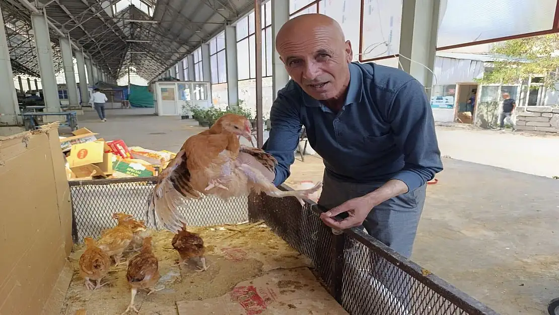 Ağrı pazarında civciv ve ördek yavruları ilgi görüyor