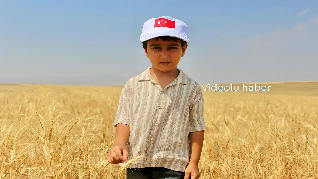 Vali Koç Buğday hasadına katıldı, Ağrı'nın tarımsal gücünü açıkladı