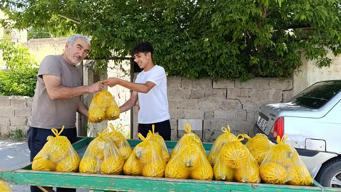 Ağrılı genç yaz tatilinde kavun satarak harçlığını kazanıyor