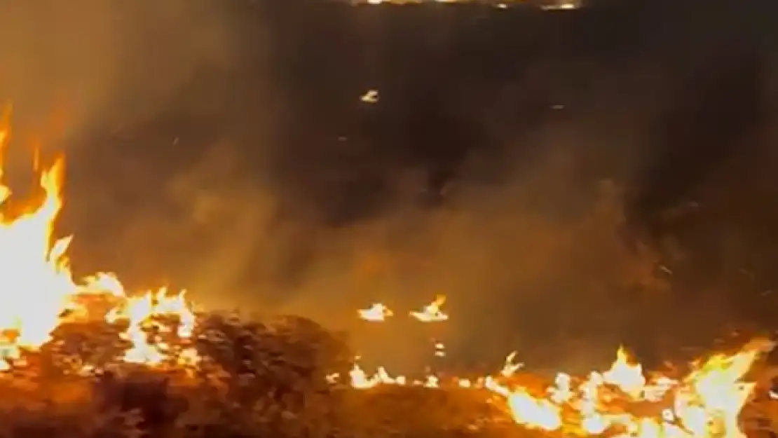 Ahlat'ta örtü yangını, itfaiye ekibi hızlı müdahale ile kontrol altına alındı!