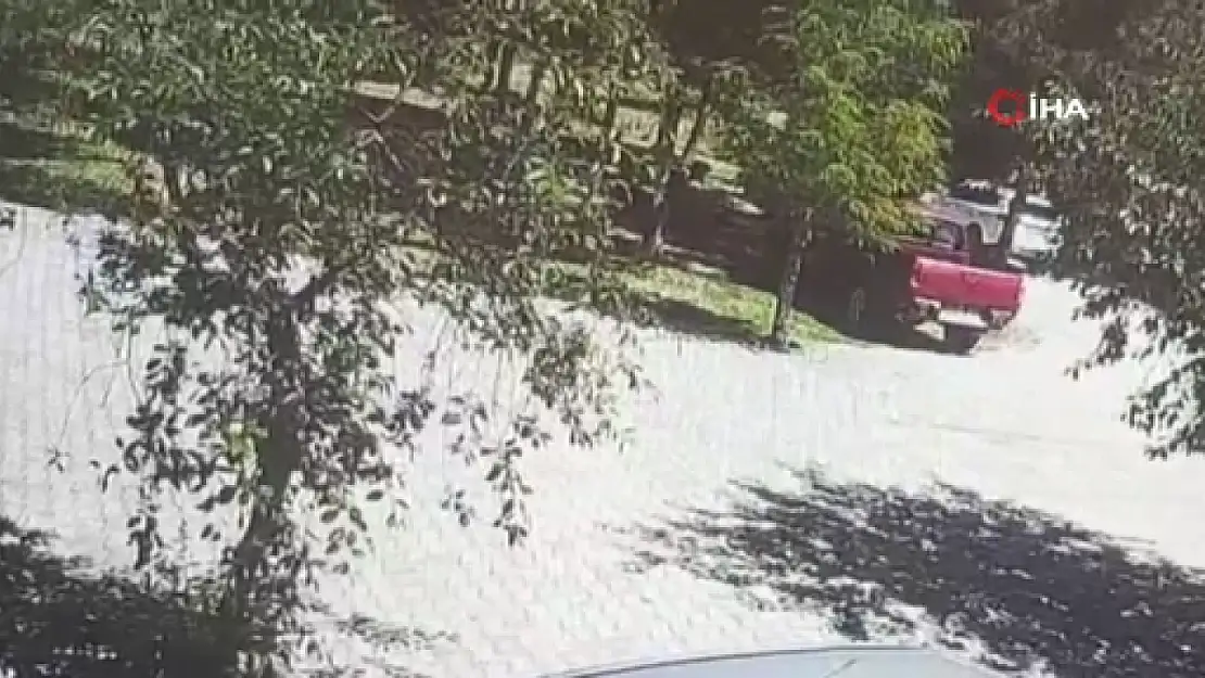 Ahlat'ta Sahipsiz Köpeklerin Saldırısında Bir Çocuk Belirli Bir Zaman İçinde Hayatta Kaldı