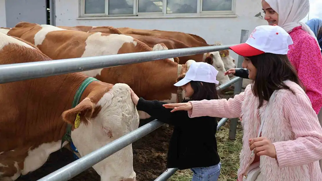 Aile Boyu Üretim Serüveni: Modern Tesislerden Tandıra, Kuşaklar Bir Arada