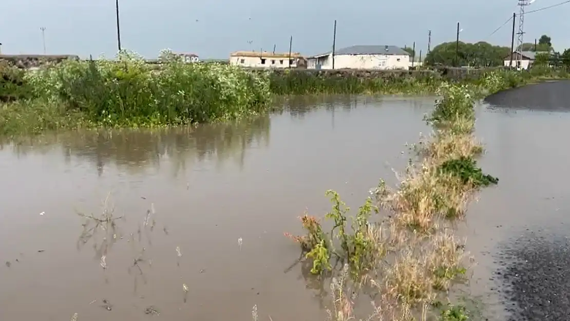 Akyaka'da sağanak sel ahırları ve tarım arazilerini sular altında bıraktı
