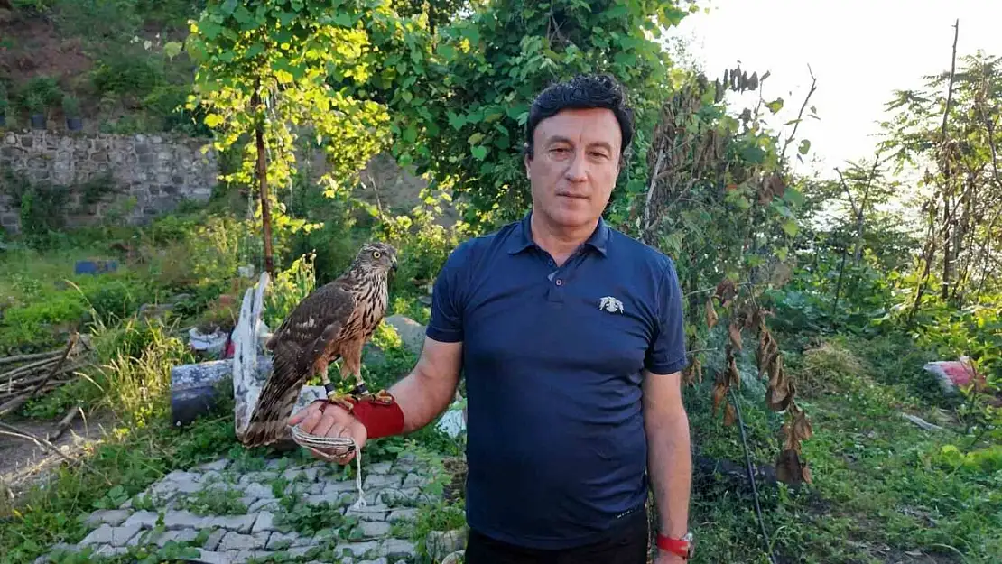 Artvin'de Atmaca Geleneği Kuşaklar Boyu Yaşatılıyor