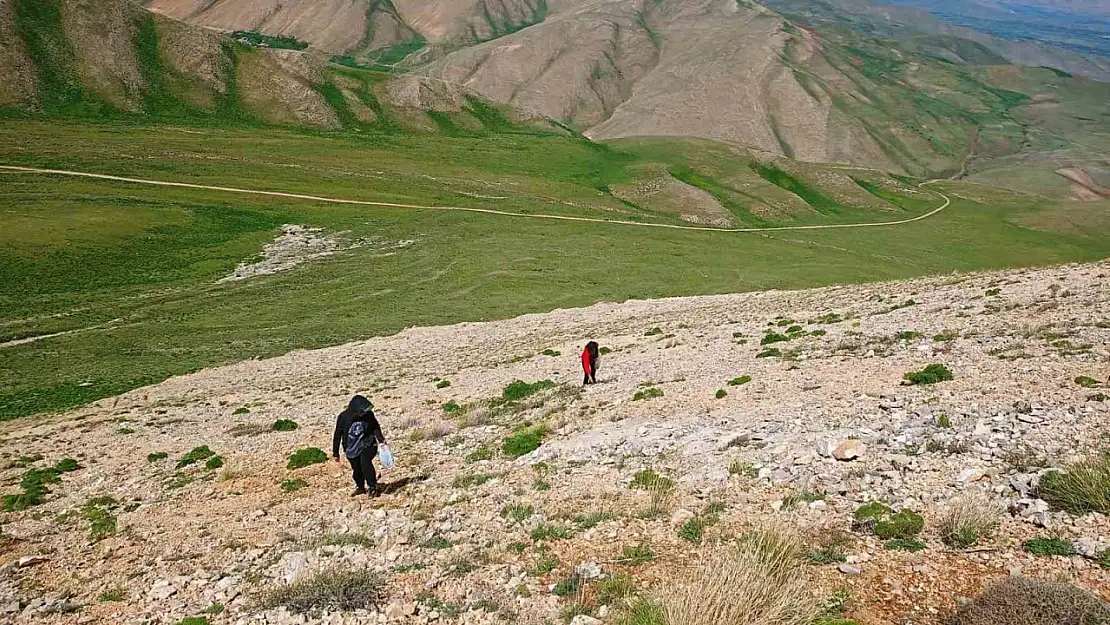 Bahar aylarında zehirlenmelere karşı heliz otu ve mantar konusunda uyarı yapıldı!