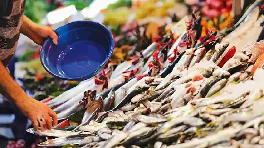Balık Tutkunlarına Müjde: Ağustos Ayının Vazgeçilmezi Olacak En Lezzetli Balıklar Belli Oldu!