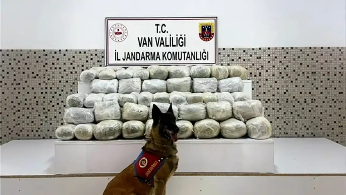 Başkale'de 97 kg skunk uyuşturucu ele geçirildi, 1 kişi yakalandı
