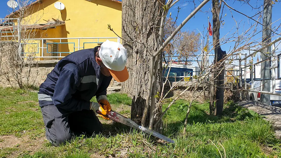 Başkale'de Park Ve Yeşil Alanlarda Ağaç Bakımı Ve Düzenleme Çalışmaları Hız Kazandı