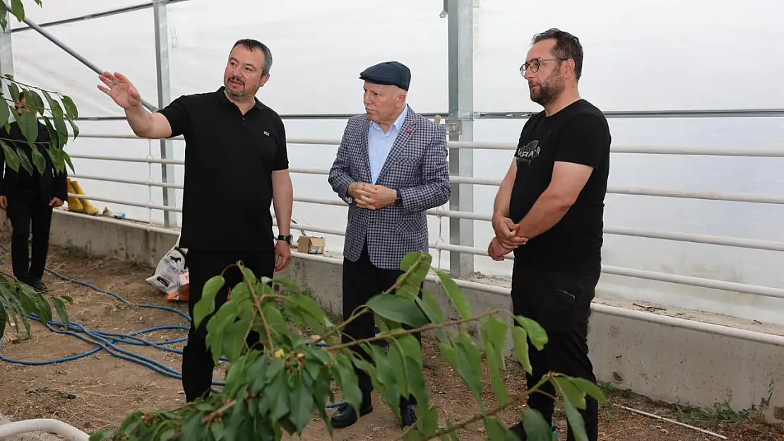 Başkan Mehmet Sekmen'den Sandıklı'da Örnek Sera Çalışmalarına Ziyaret