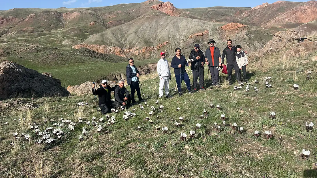 Bazid dağcıları bu hafta Kanisipi'de doğa yürüyüşü gerçekleştirdi