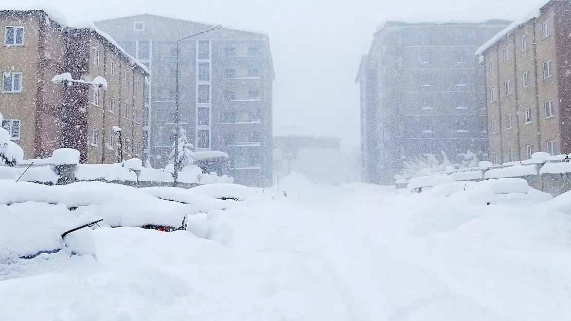 Bitlis adeta kar altında kaldı