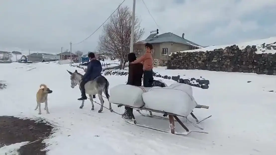 Bitlis'in Sütey Yaylası'nda zorlu kış başladı