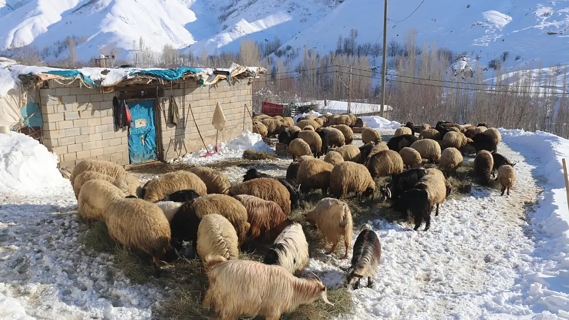 Bitlis'te besicilerin zorlu kış mesaisi