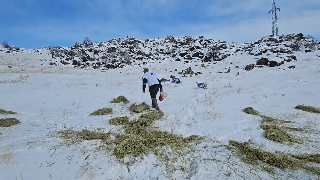 Bitlis'te doğa dostlarından yaban hayatına destek