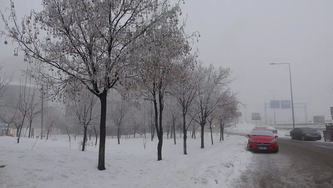 Bitlis'te dondurucu soğuklar ve yoğun sis hayatı zorlaştırıyor