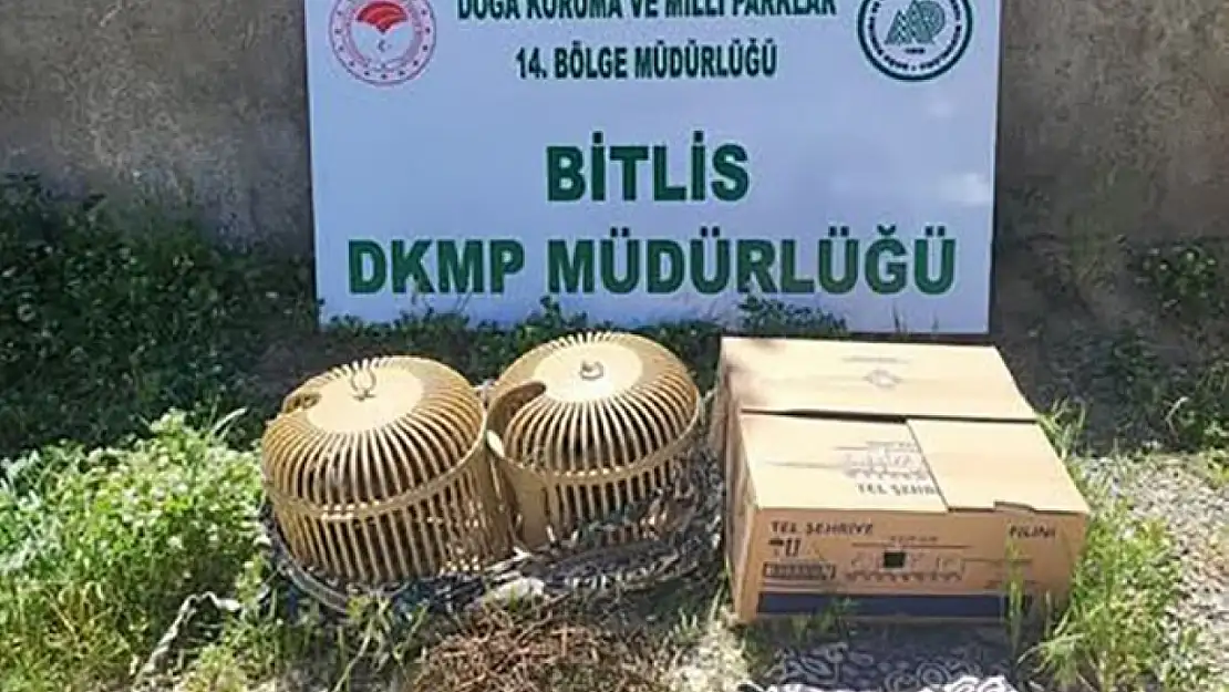 Bitlis'te Kaçak Keklik Yetiştiren Bireye 63 Bin TL'lik Cezai İşlem!