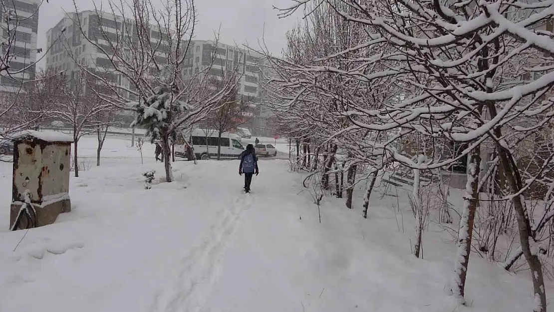 Bitlis'te kar esareti başladı köylere ulaşım durdu