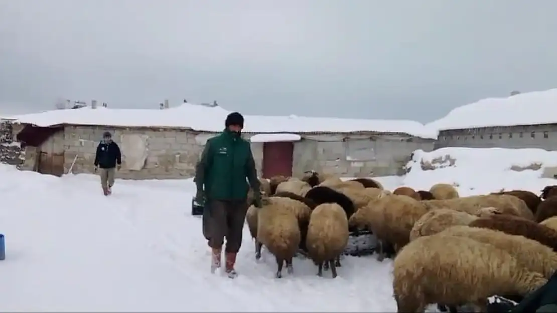 Bitlis'te Sibirya soğukları besicileri zorluyor