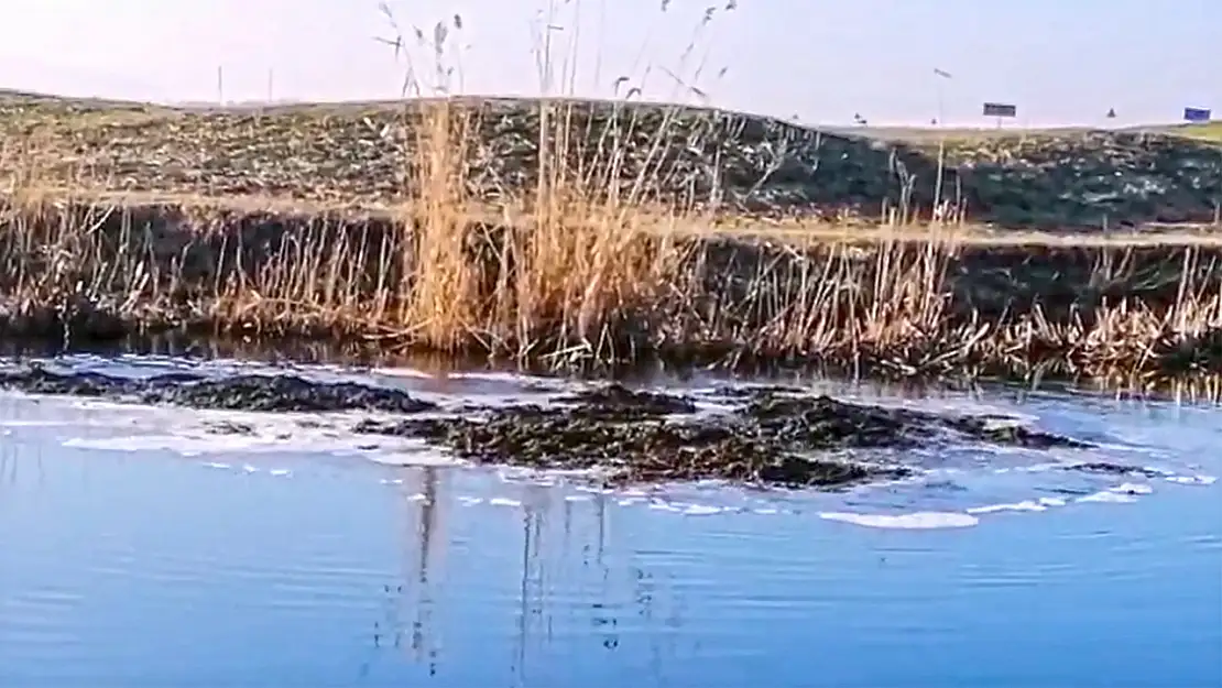 Bitlis'te yer altından fışkıran toprak şaşkınlık yarattı