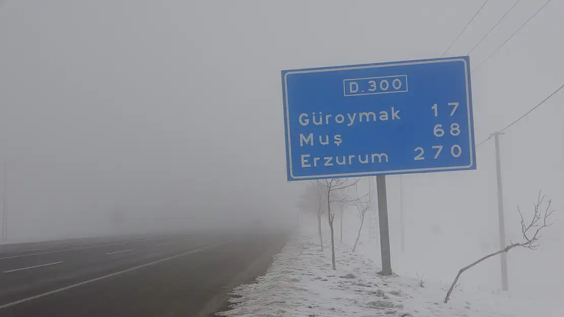 Bitlis'te yoğun sis ve buzlanma hayatı olumsuz etkiliyor