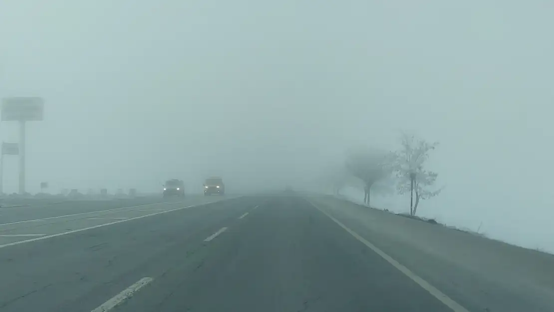 Bitlis'te yoğun sis ve kırağı etkili oldu