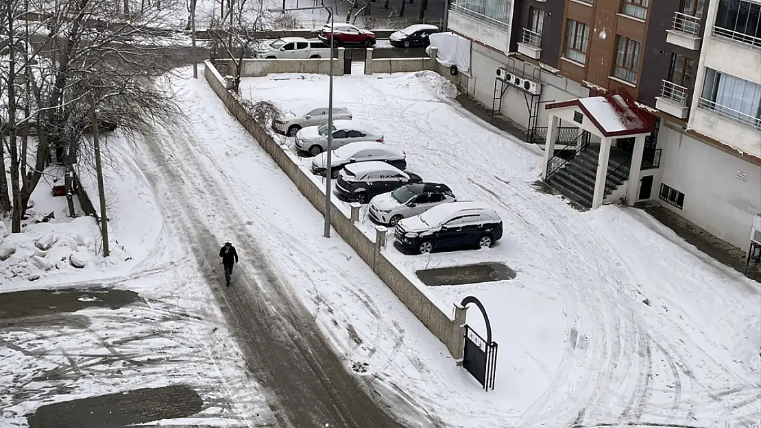 Bitlis ve Van'da gece yağan kar ulaşımı aksattı