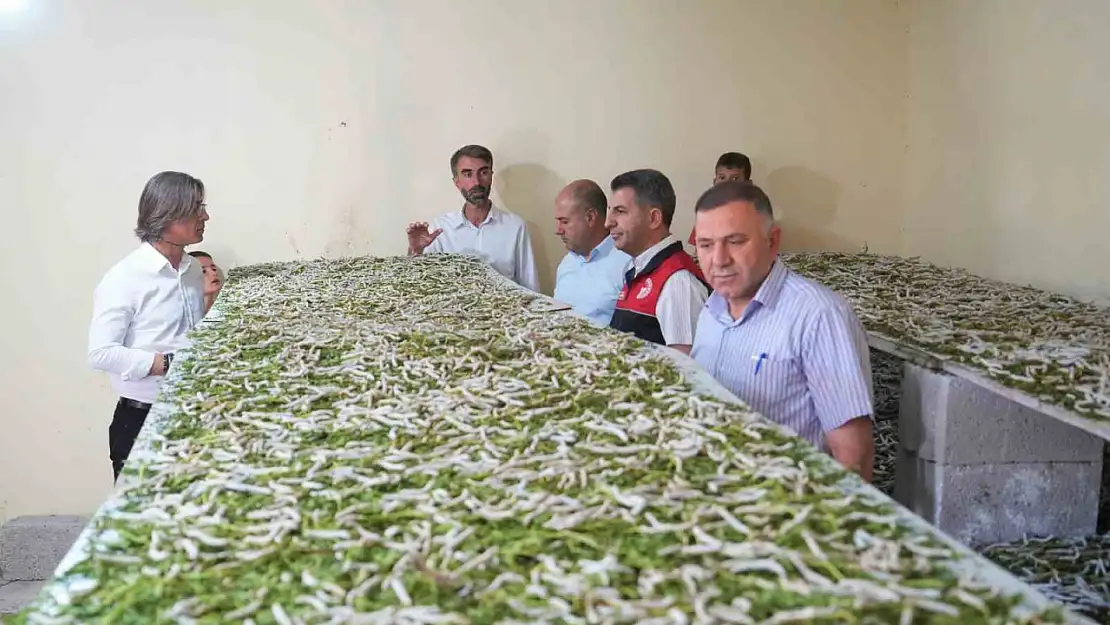 Böceklerle İlgilenmeyi Reddetti, Yüklü Gelir Elde Etti