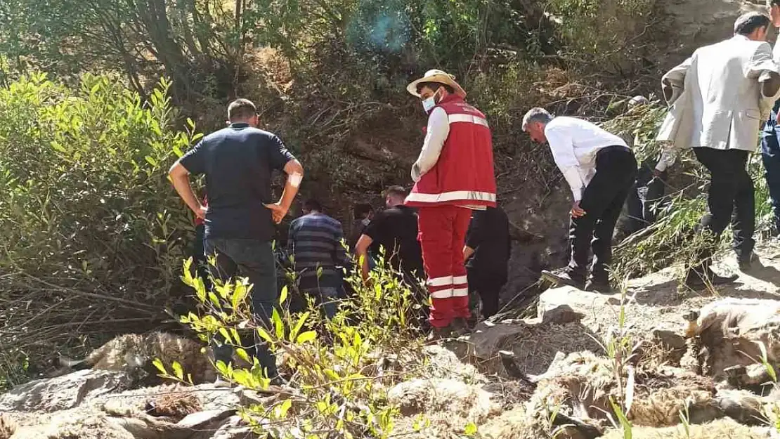 Çatak'ta 334 koyun kayalıklardan düştü, hayvan sahipleri zarara uğradı