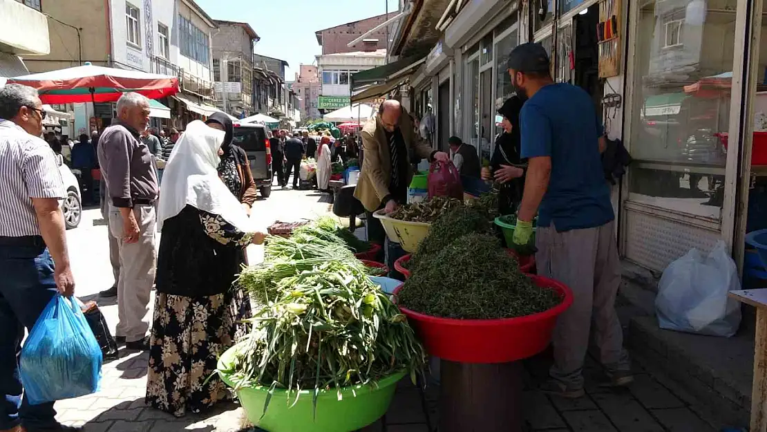 Dağlardan Toplanan Şifalı Otlar, Hem Sağlık Hem Ekonomi Sunuyor