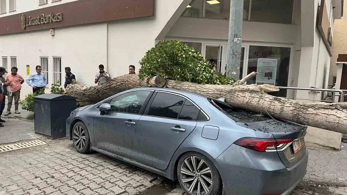 Diyadin'de şiddetli rüzgar park halindeki aracı hurdaya çevirdi
