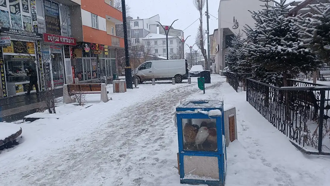 Diyadin'de yollar ve parklar karla kaplandı