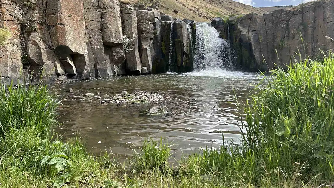 Doğaseverlerin yeni gözdesi: Diyadin'de saklı cennet