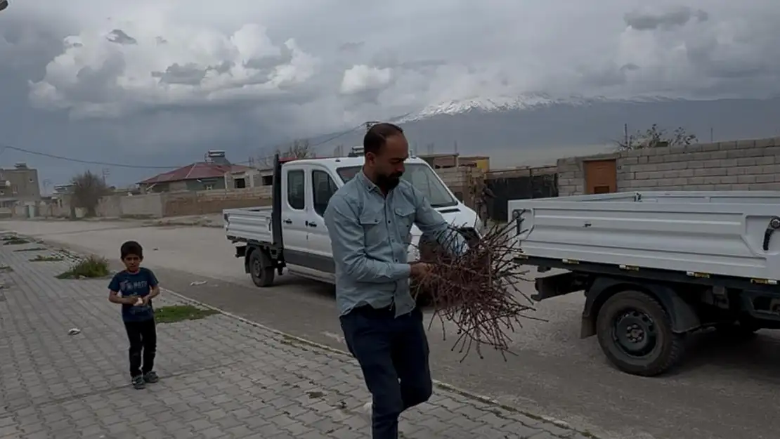 Doğubayazıt'ta çevre seferberliği: Belediye vatandaşa yüzlerce fidan dağıttı