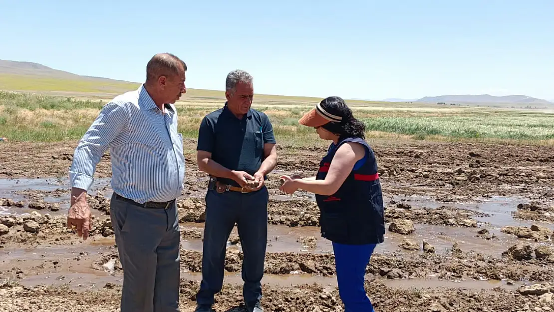 Doğubayazıt'ta çiftçilere meyve çekirdeğiyle ağaçlandırma çağrısı