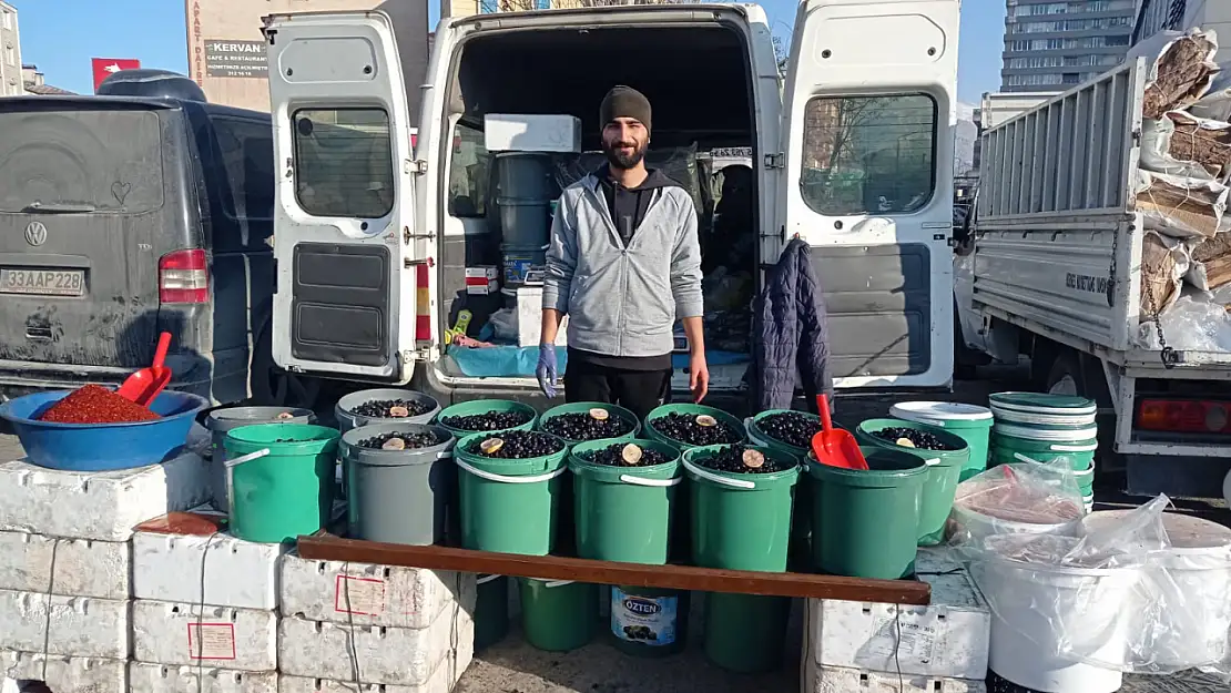 Doğubayazıt'ta organik Gemlik zeytinlerine ilgi yoğun