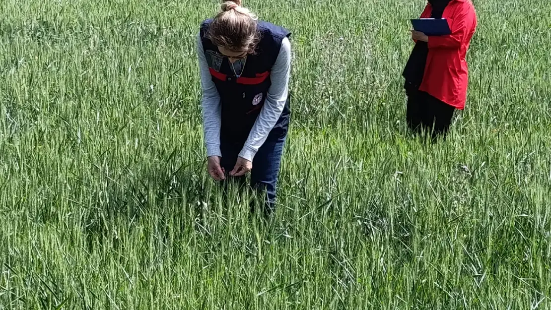Doğubayazıt'ta tarım arazilerine teknolojik gözetim